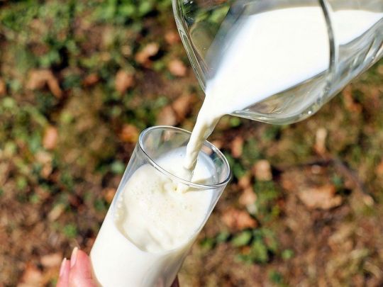 Пити чи не пити молоко дорослим: аргументи «за» та «проти»