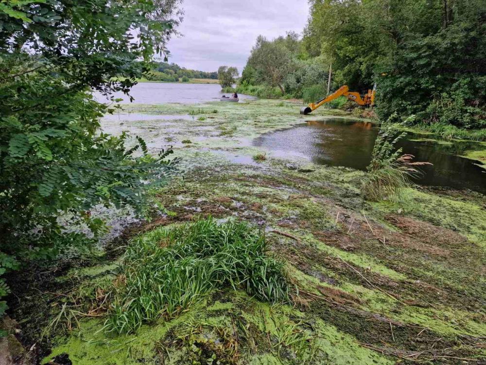 Басівкутську водойму очищають від водоростей 