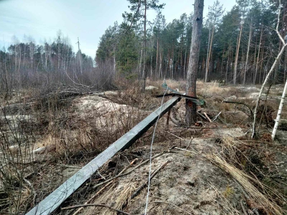 Буревій знеструмив на Рівненщині 110 сіл (Фото)