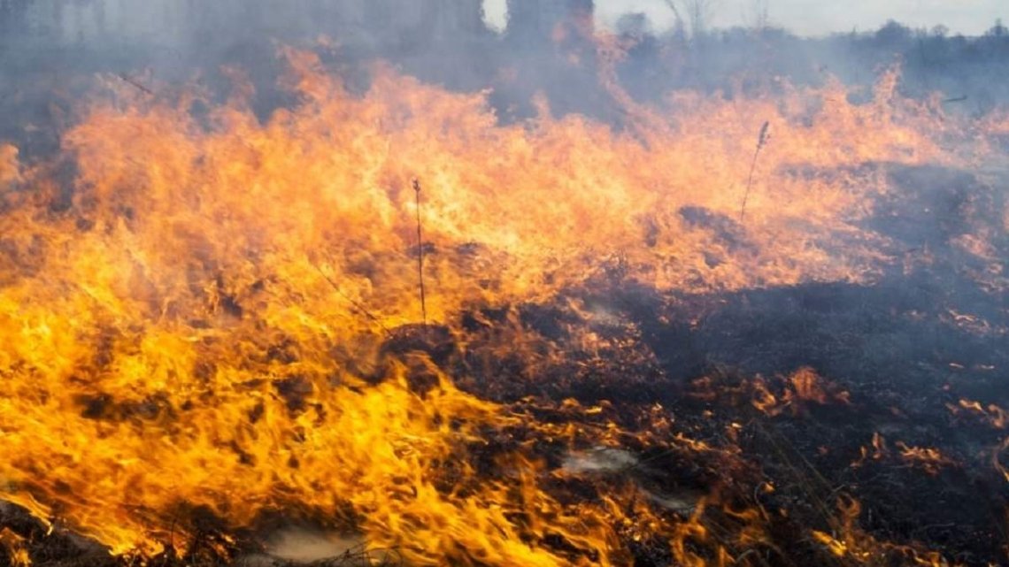Через спеку на Рівненщині зберігається високий ризик виникнення пожеж