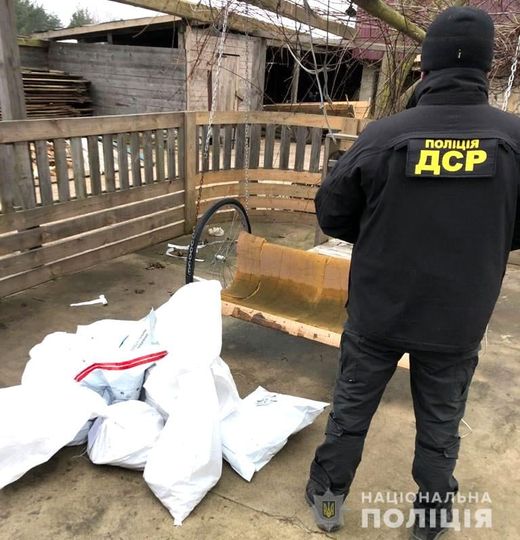 Чоловік з Рівненщини незаконно зберігав вдома 39 кілограмів бурштину. Його судитимуть