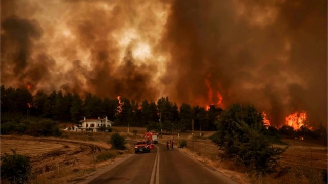 Допомогу в гасінні лісових пожеж у Греції надають 22 країни