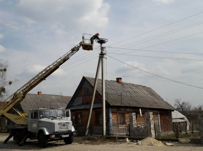 Енергетики на Рівненщині облаштовують гнізда для лелек