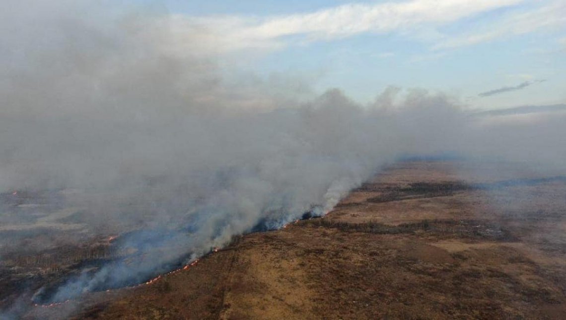 Горіло п'ятдесят гектарів: на півночі Рівненщини локалізували пожежу сухої трави