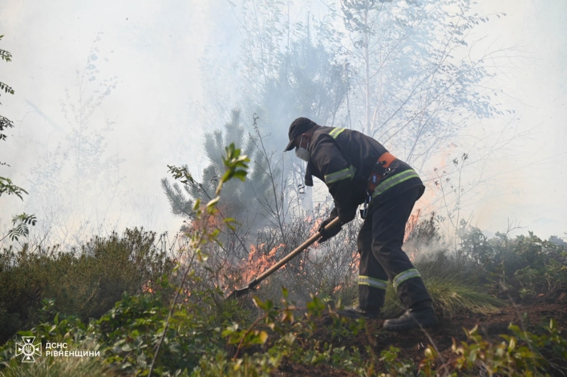 Горять трава, чагарники та лісова підстилка