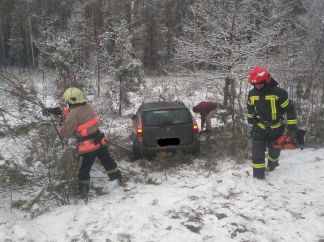 Легковик врізався в дерево, водій не постраждав