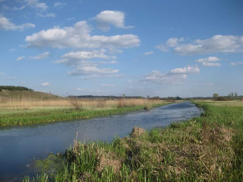 На Дубенщині із річки дістали тіло чоловіка