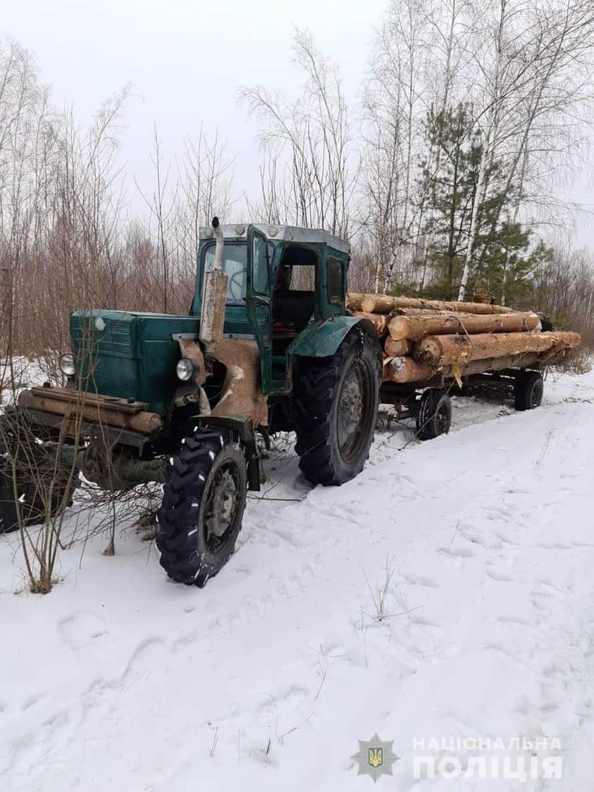 На Рівненщині незаконно вирубали і намагалися вивезти ліс