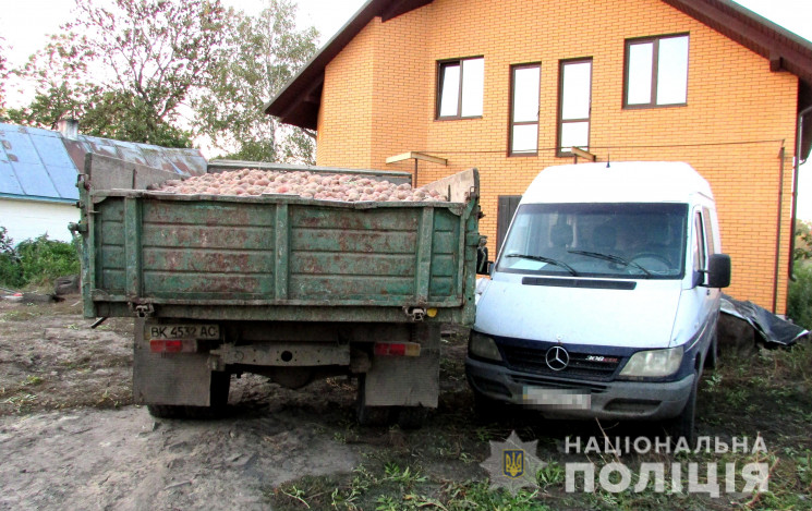 На Рівненщині п`яний чоловік вкрав вантажівку з картоплею та ганяв на ній по селу (ФОТО)