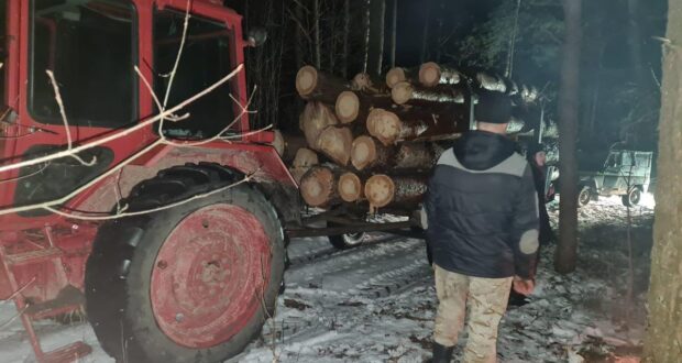 На Рівненщині вилучили сім кубів незаконної деревини