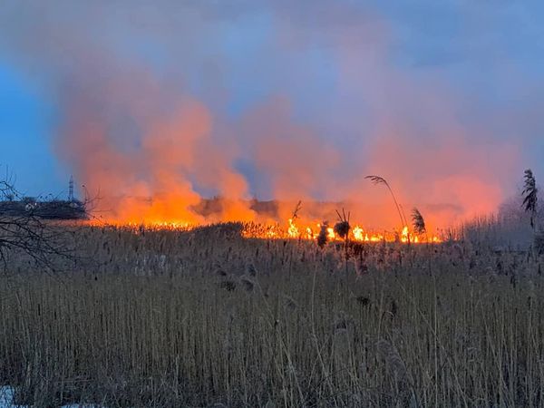 На Рівненщині, вперше в цьому році горіла суха трава та очерет