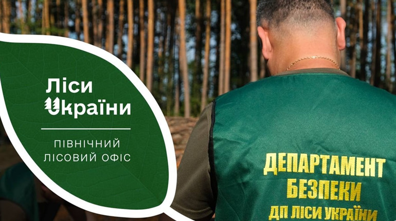 На Рівненщині звільнили усіх керівників лісового господарства 
