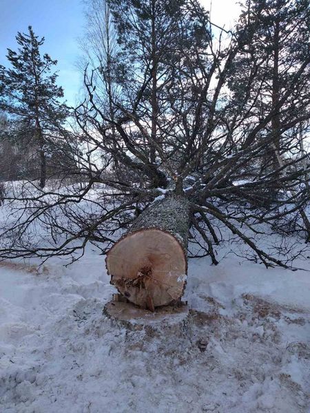 На Рокитнівщині  понад півтисячі людей залишилися без електропостачання (ФОТО)