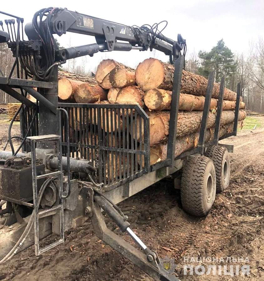 На Сарненщині поліцейські вилучили незаконну деревину та викрили лісорубів
