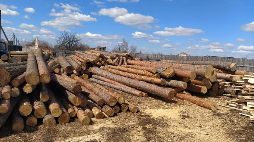 На Сарненщині вилучили майже 60 «кубів» незаконної деревини  