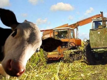 На сільське господарство в Україні припадає майже третина викидів парникових газів