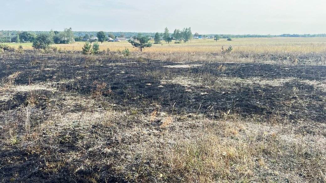 Палила сухе зілля й згоріла разом з ним