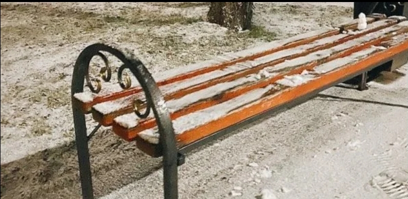Перший сніг випав у чотирьох областях України (ФОТО)