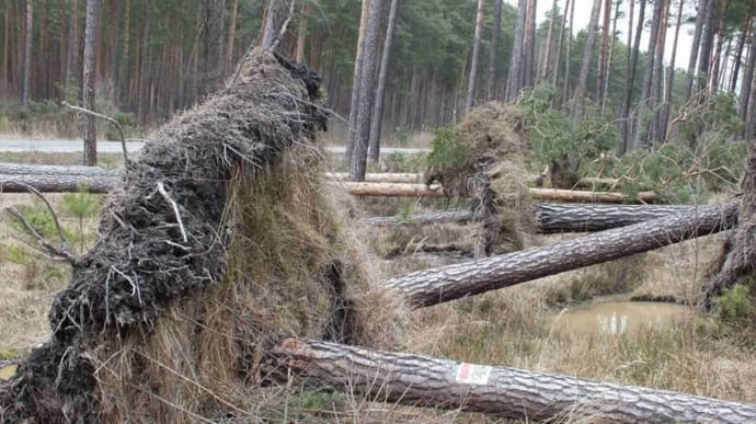 Польщу накрили гроза і буревій:двоє загиблих, знеструмлені тисячі домівок