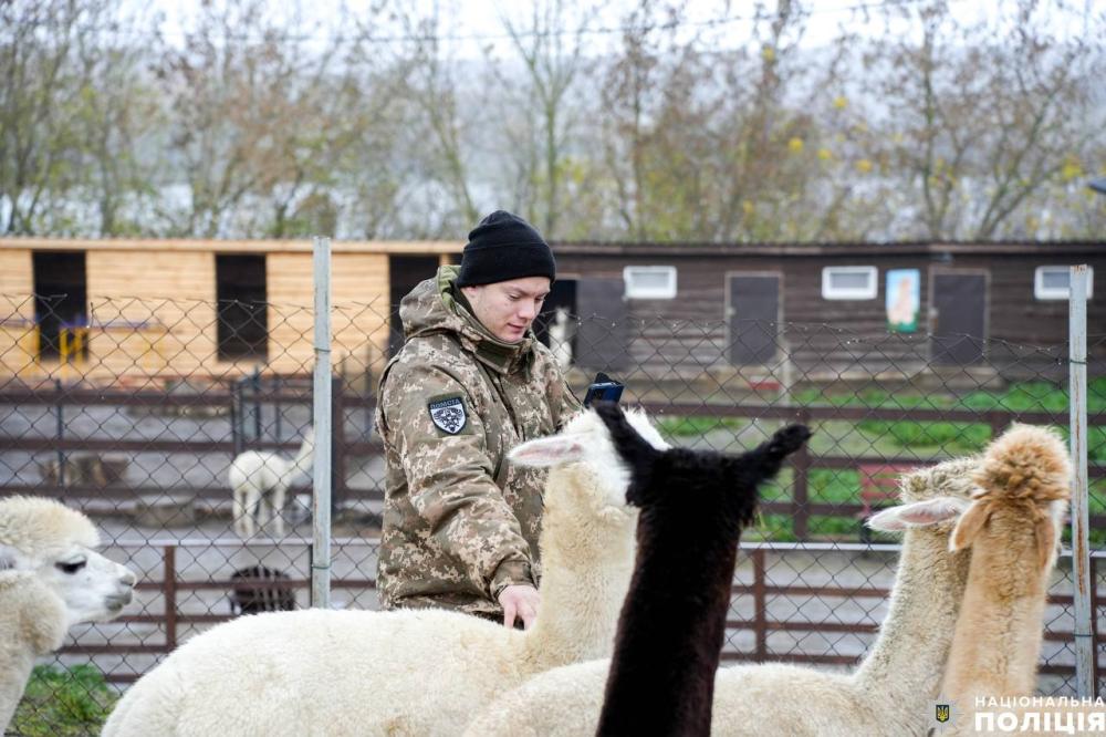 Сеанс терапії для поранених захисників провели у зоопарку