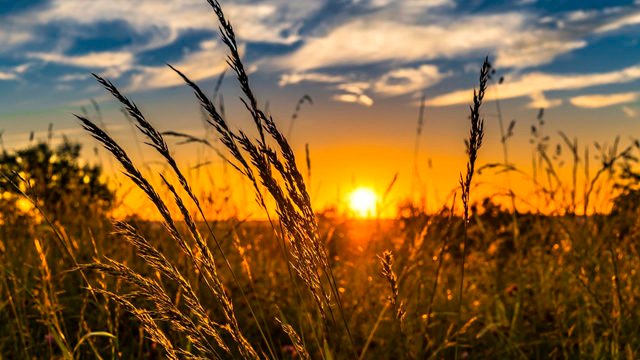 Синоптики розповіли, яким буде початок літа