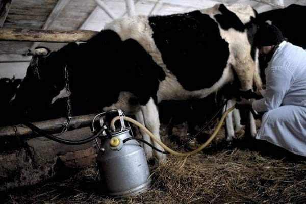 Тваринникам Рівненщини відшкодували кошти за доїльні апарати 