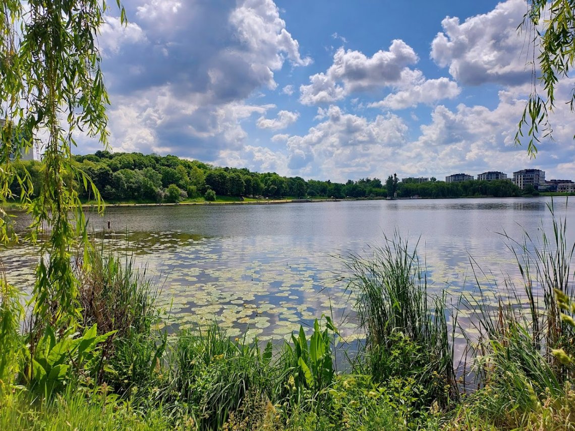 У Басівкутську водойму течуть фекалії