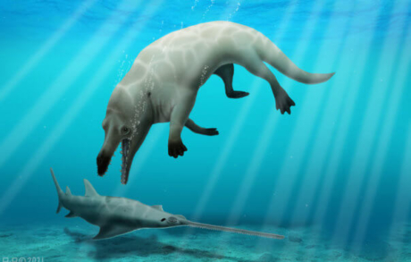 У Єгипті вчені знайшли останки дельфіна з ногами