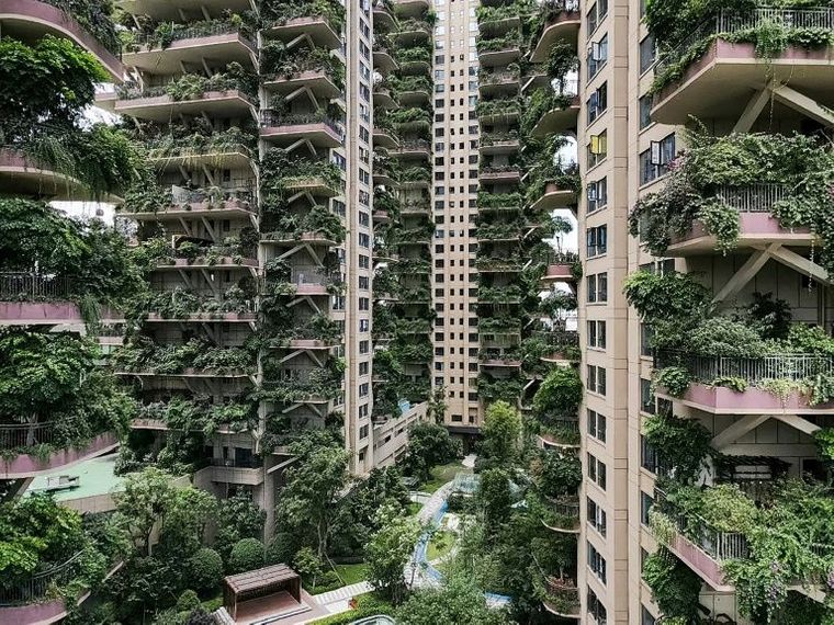 У Китаї створили багатоповерхівки з лісом на балконі.