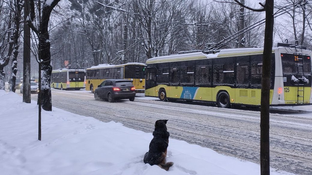 У Львові відключили від електроенергії лікарні та електротранспорт