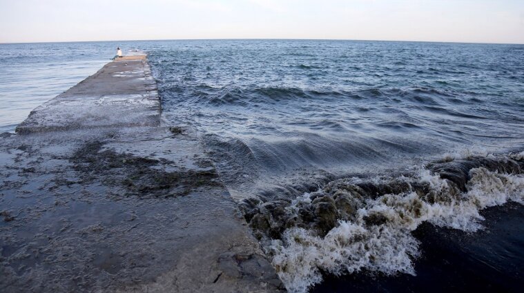 У морі біля Одеси нашестя морських черв`яків (ВІДЕО)