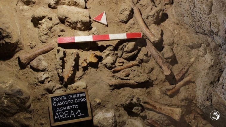 У печері в Італії знайшли останки 9 неандертальців. Їх, імовірно, вполювали гієни