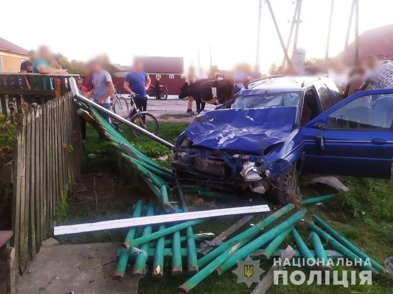 На  Березнівщині нетверезий водій наїхав на худобу: загинуло дві тварини