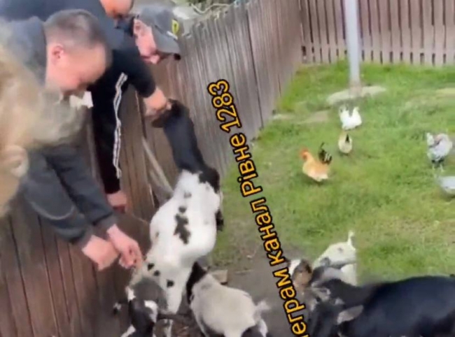 У Рівненському зоопарку п`яний відвідувач познущався з тварини (ВІДЕО)