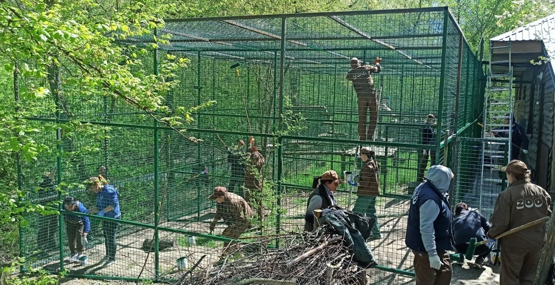 У Рівненському зоопарку розпочали будувати нові вольєри для тварин