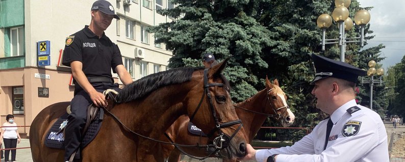 У Рівному відмовились від створення кінної поліції