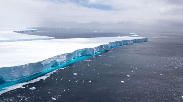 У світі один з найбільших айсбергів майже розтанув