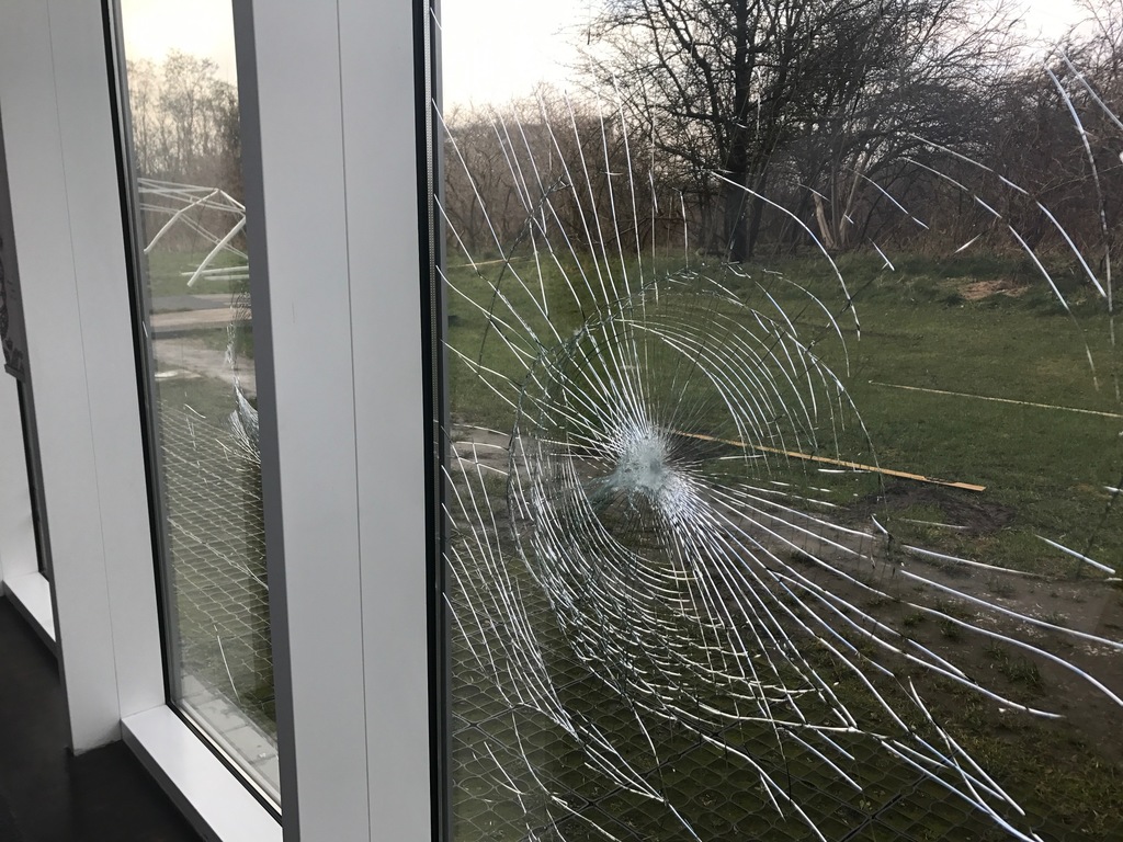 У Житомирі чоловік лопатою побив вікна сусідам: не дозволяли паркуватися на клумбі з квітами (ВІДЕО)