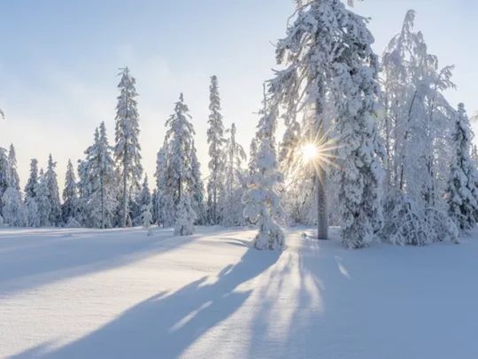  Україну знову накриє арктичний холод