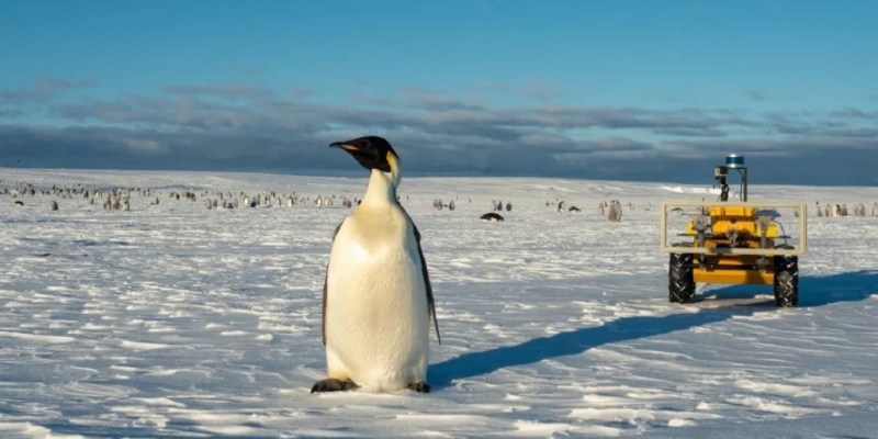В мережі показали робота, який слідкує за пінгвінами в Антарктиді