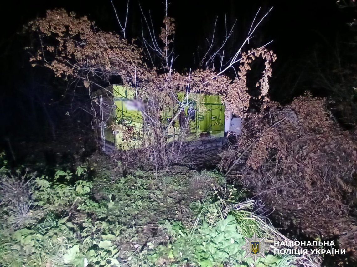 Вантажівка врізалась у дерево: водію стало недобре