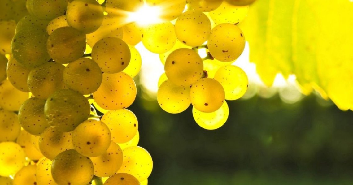 Виноград - справжній суперпродукт