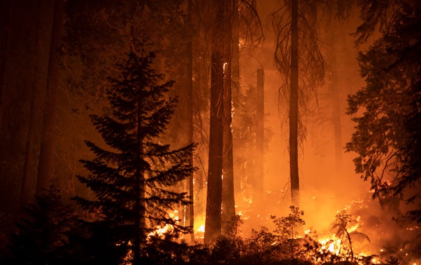 Земля у вогні: вчені з ООН прогнозують зростання екстремальних лісових пожеж