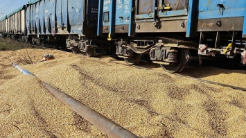 30 тонн української кукурудзи, яку висипали із вагонів у Польщі, утилізують