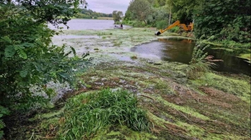 Басівкутську водойму очищають від водоростей 