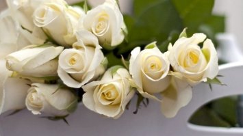 Білі троянди