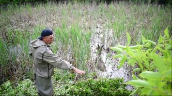 Біля Рівного врятували від загибелі трирічну лосиху 