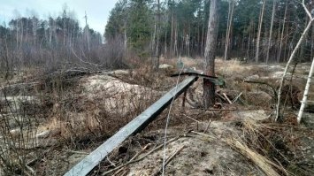 Буревій знеструмив на Рівненщині 110 сіл (Фото)