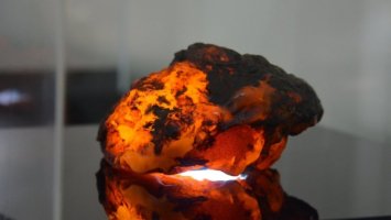 Бурштин вартістю 10 тисяч доларів сховав під одягом