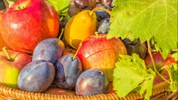 Чи можна влітку наїстися вітамінів з овочів і фруктів